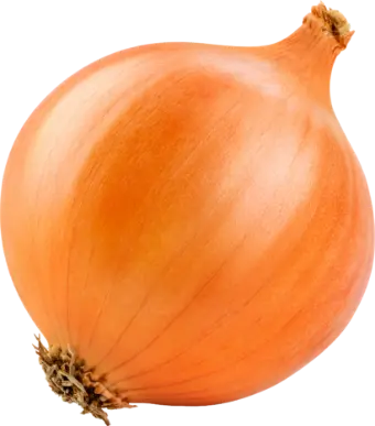 玉ねぎ
