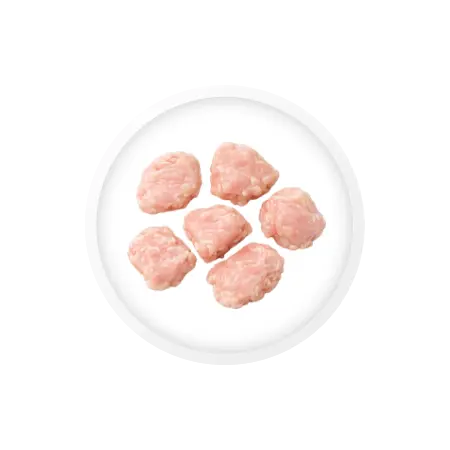 加工食品chicken